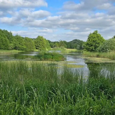 Dobrykurs-blisko Morza * Danzica