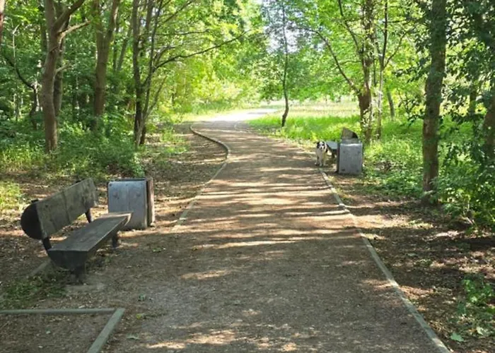 Dobrykurs-blisko Morza