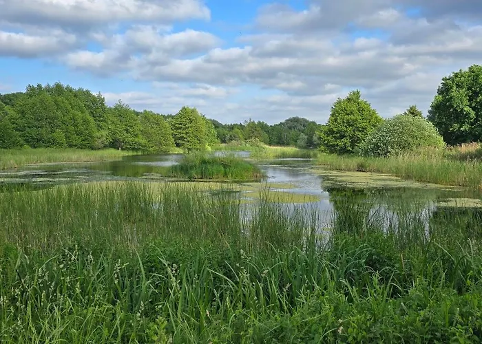 Dobrykurs-blisko Morza * غدانسك