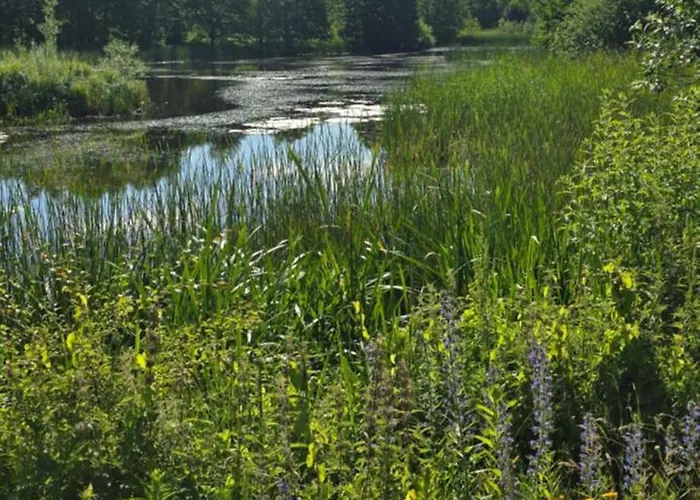 شقة Dobrykurs-blisko Morza *