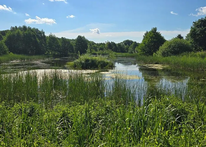 Dobrykurs-blisko Morza شقة غدانسك