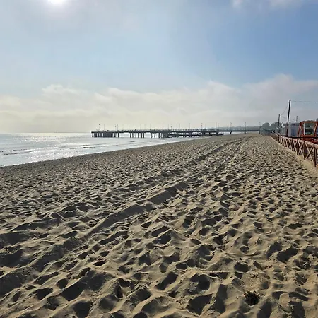 아파트 Dobrykurs-blisko Morza 그단스크